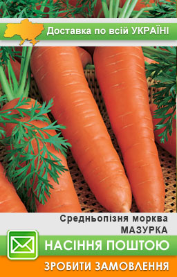 Інтернет  насіння  морква Мазурка