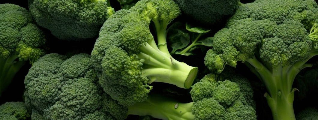 Вирощування капусти броколі рекомендації