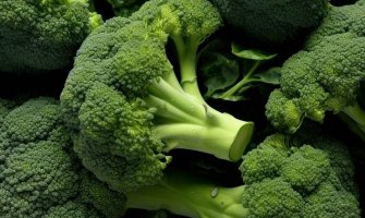 Вирощування капусти броколі рекомендації