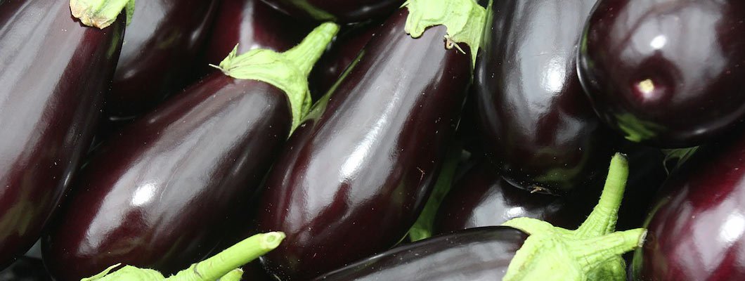 Вирощування баклажанів рекомендації