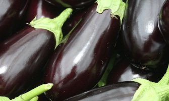 Вирощування баклажанів рекомендації