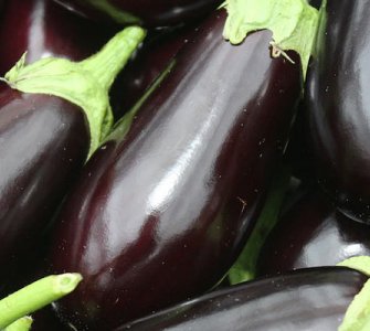 Вирощування баклажанів рекомендації