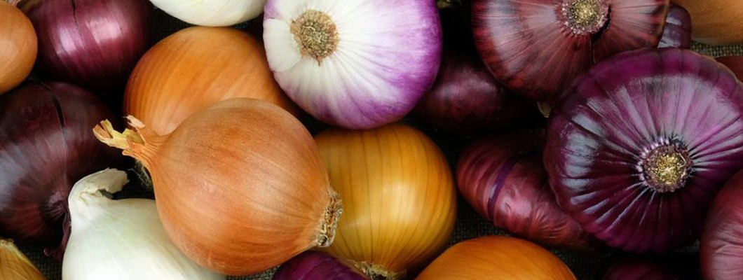 Вирощування цибулі рекомендації