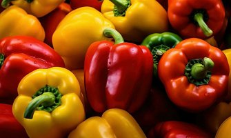 Вирощування солодкого перцю рекомендації