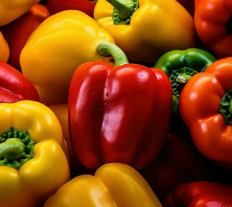 Вирощування солодкого перцю рекомендації