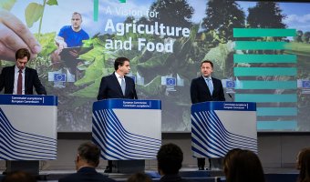 Чому ЄС обмежив застосування інсектицидів для обробки насіння?