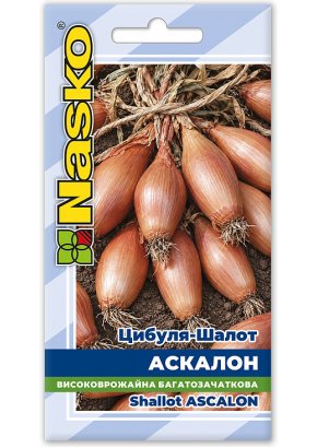 Цибуля-шалот ранньостигла	АСКАЛОН