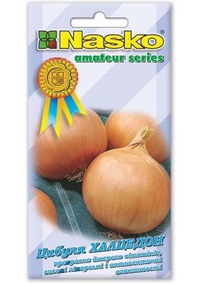 Цибуля на зберігання ХАЛЦЕДОН