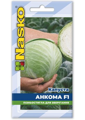 Капуста пізньостигла	АНКОМА F1
