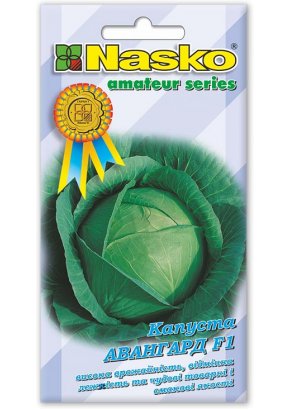 Капуста пізня	АВАНГАРД F1