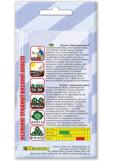 Насіння капусти пізньої АВАНГАРД F1