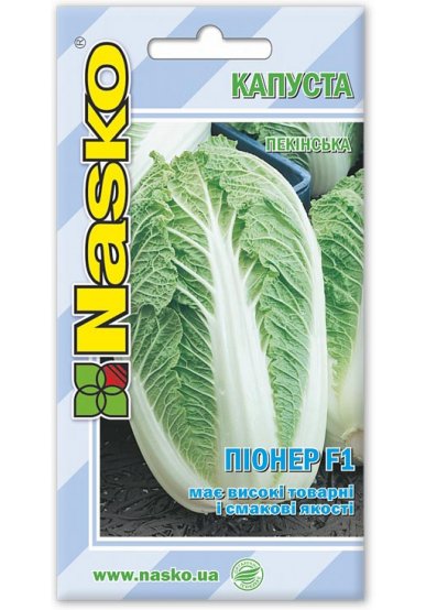Насіння капусти пекінської ПІОНЕР F1