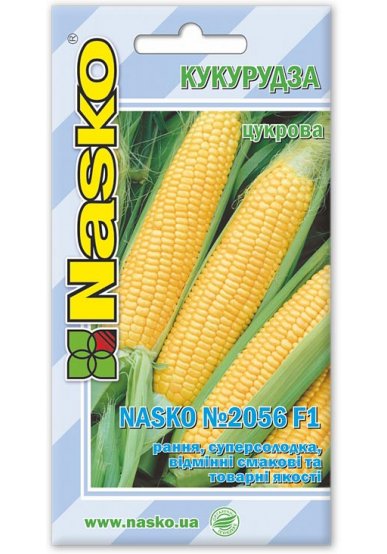 Насіння кукурудзи NASKO 2056 F1