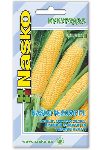 Насіння кукурудзи NASKO 2056 F1