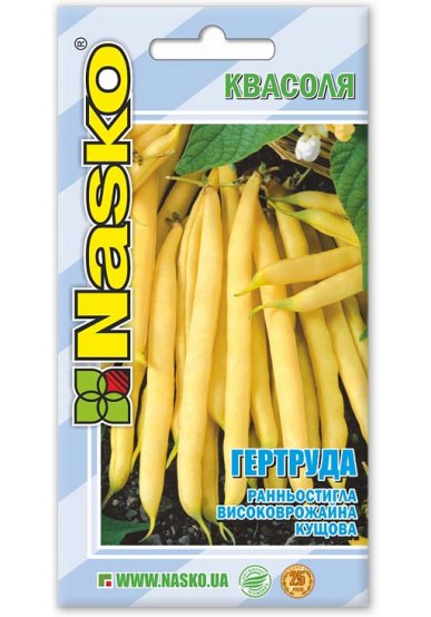 Насіння квасолі спаржевої ГЕРТРУДА