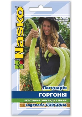 Лагенарія	ГОРГОНІЯ