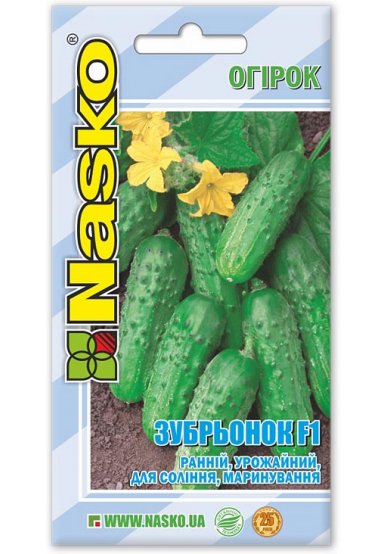 Насіння огірка ЗУБРЬОНОК F1