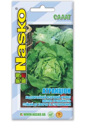 Салат качанний	АТРАКЦІОН (тип Айсберг)