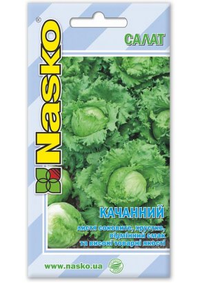 Салат КАЧАННИЙ	(тип Айсберг)