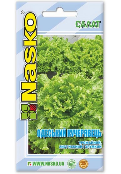 Насіння салата листового ОДЕСЬКИЙ КУЧЕРЯВЕЦЬ