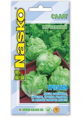 Салат качанний ТРІСТАН (тип Айсберг)
