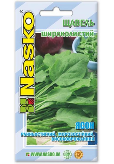 Насіння щавля широколистого ЯСОН
