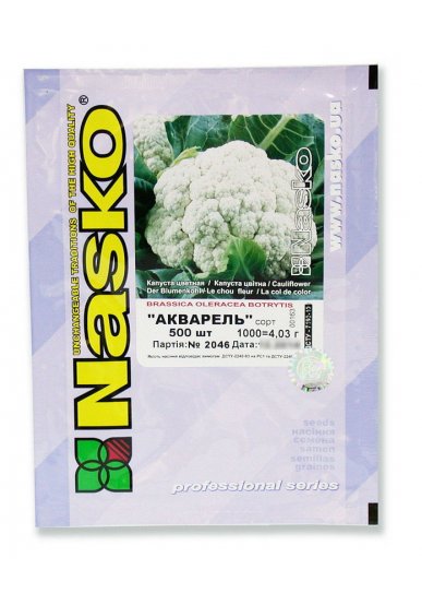Капуста цвітна АКВАРЕЛЬ