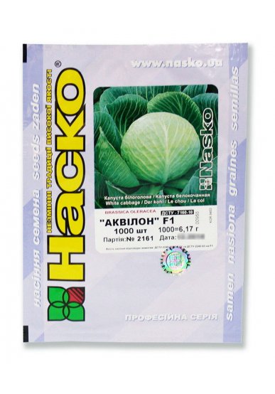 Капуста пізньостигла АКВІЛОН F1