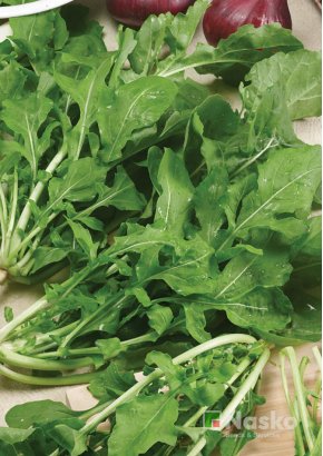 Рукола широколиста	КАМІЛЬ