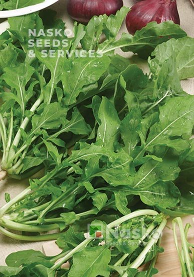 Рукола широколиста КАМІЛЬ