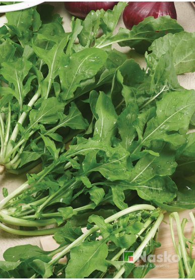 Рукола широколиста КАМІЛЬ