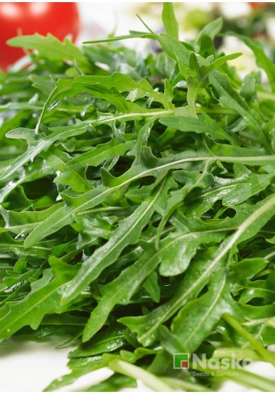 Рукола тонколиста САНСА 