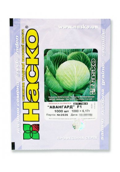 Капуста пізньостигла АВАНГАРД F1