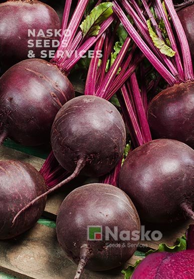 Буряк столовий ЕРІДАН