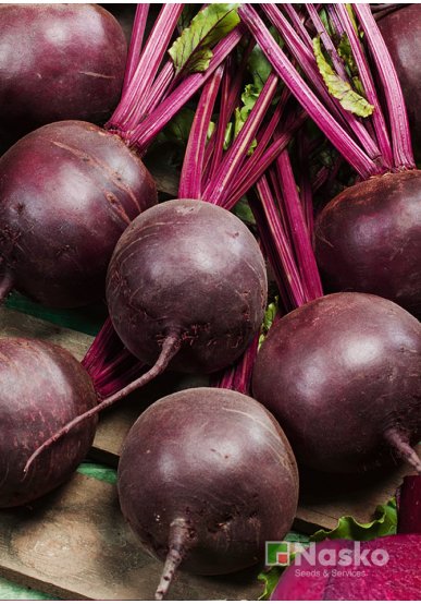 Буряк столовий ЕРІДАН