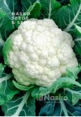 Капуста цвітна ФЛАМІНГО