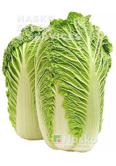 Капуста пекінська ПІОНЕР F1