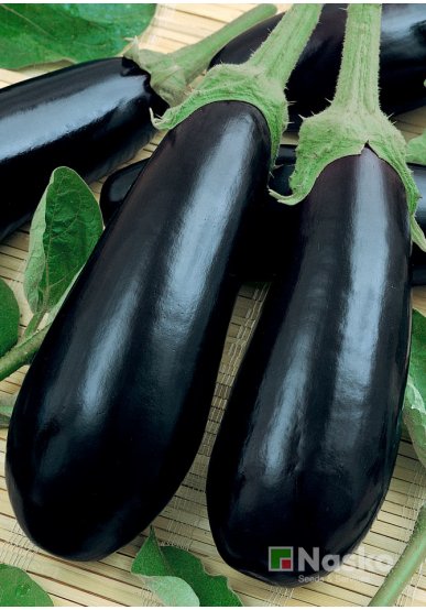 Баклажан АЛМАЗ