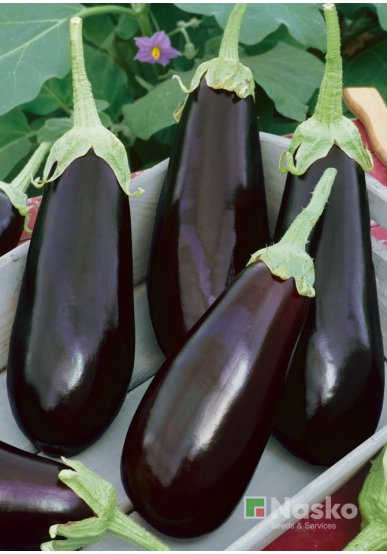 Баклажан НАДІР