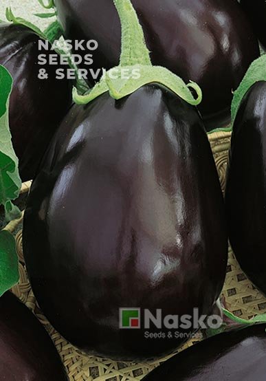 Баклажан НЕГУС