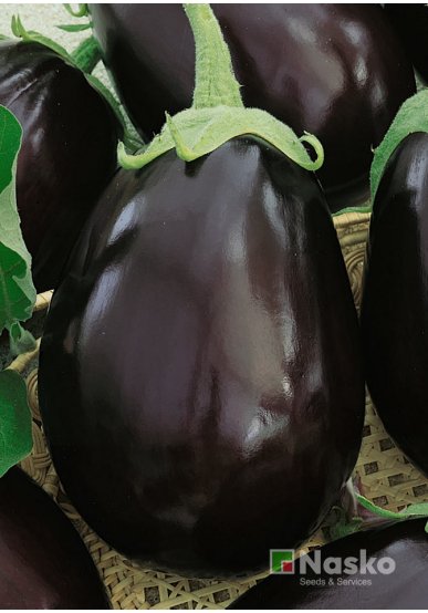 Баклажан НЕГУС