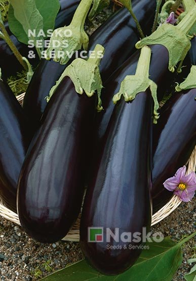 Баклажан ОТЕЛЛО F1