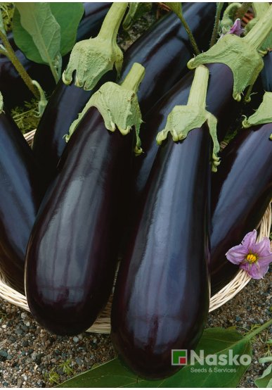 Баклажан ОТЕЛЛО F1