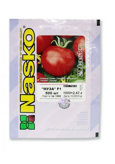 Томат низькорослий МУЗА F1