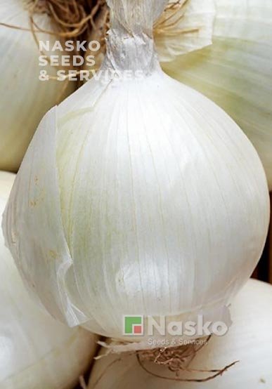 Цибуля ріпчаста біла ЕМІР