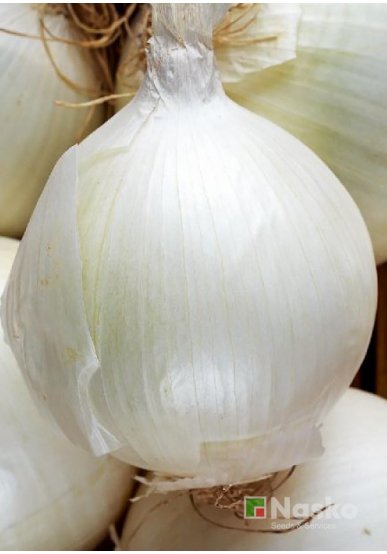 Цибуля ріпчаста біла ЕМІР