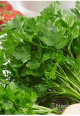 Петрушка листкова ГОСПОДИНЯ