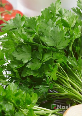 Петрушка листкова	ГОСПОДИНЯ