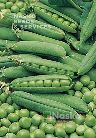 Горох овочевий ПРЕЛАДО (Plerado)