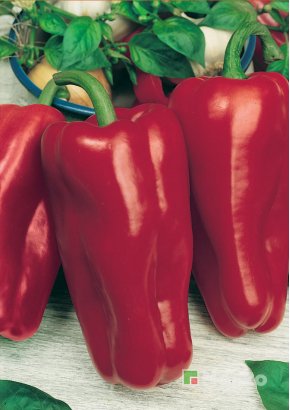 Перець солодкий	АТЛАНТ